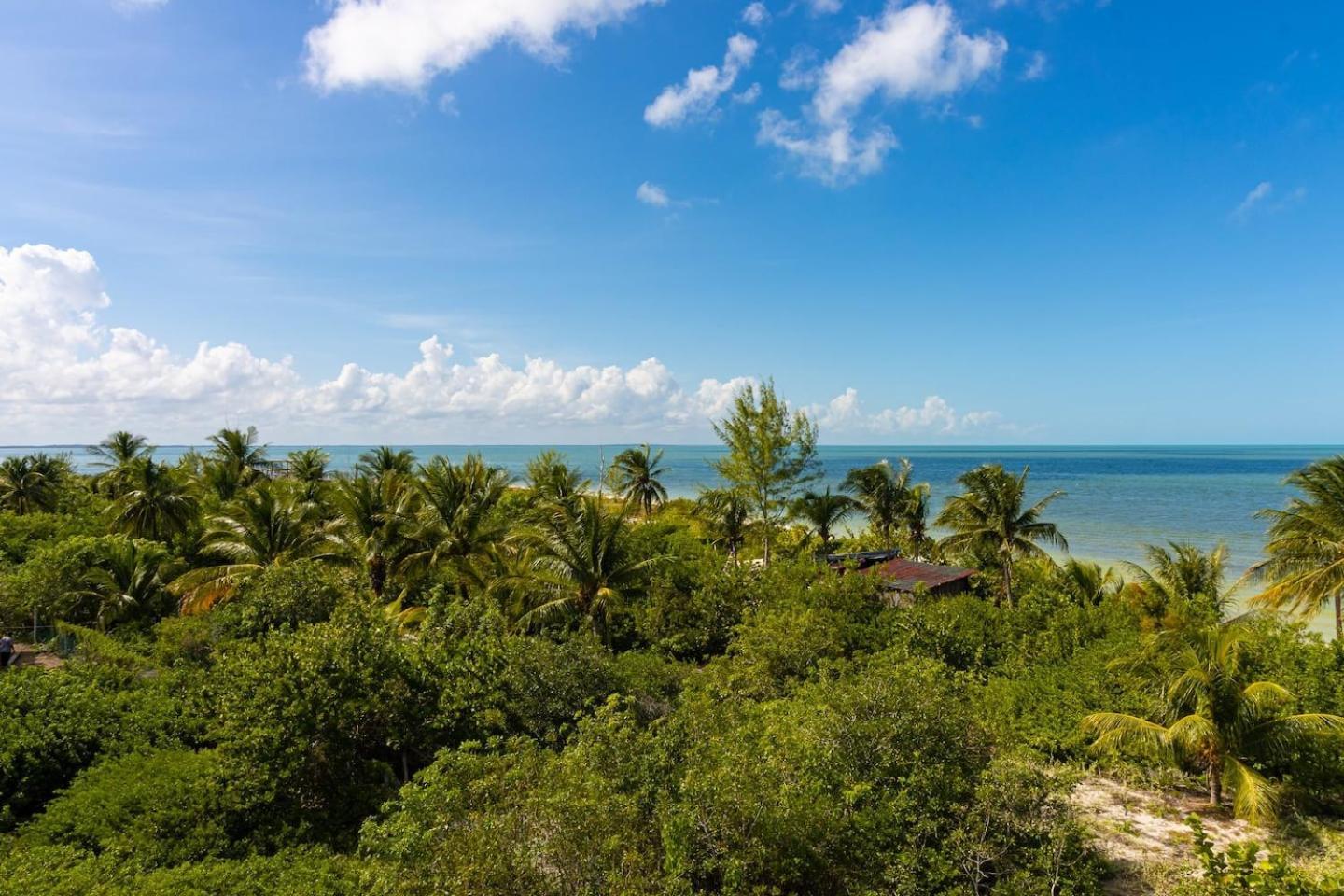 Beautiful Ocean View Penthouse With Private Pool -C301 Hotel Isla Holbox Exterior photo